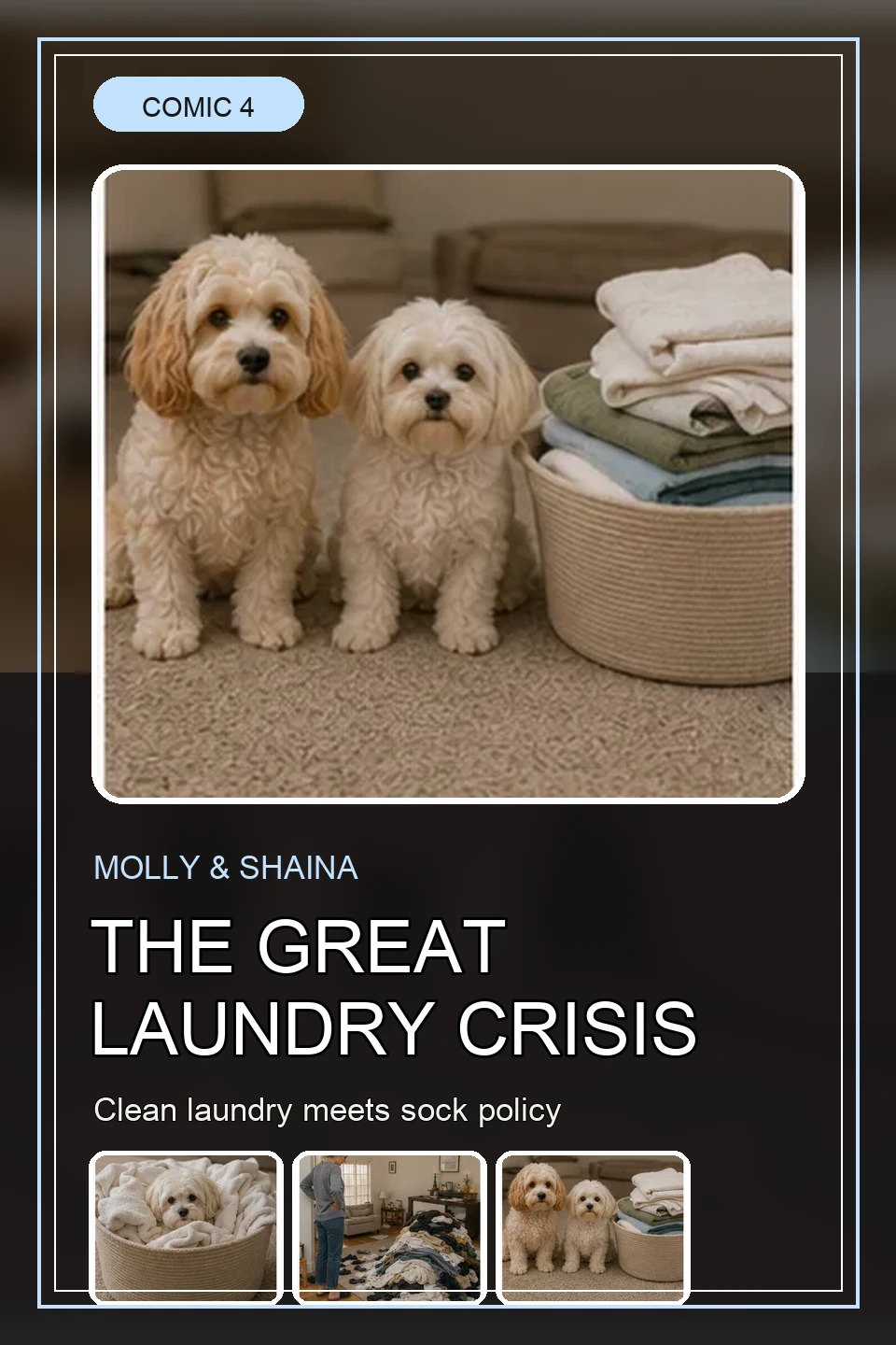 Front cover for The Great Laundry Crisis.