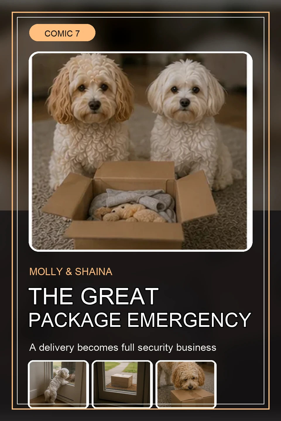 Front cover for The Great Package Emergency.