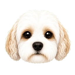Shaina icon