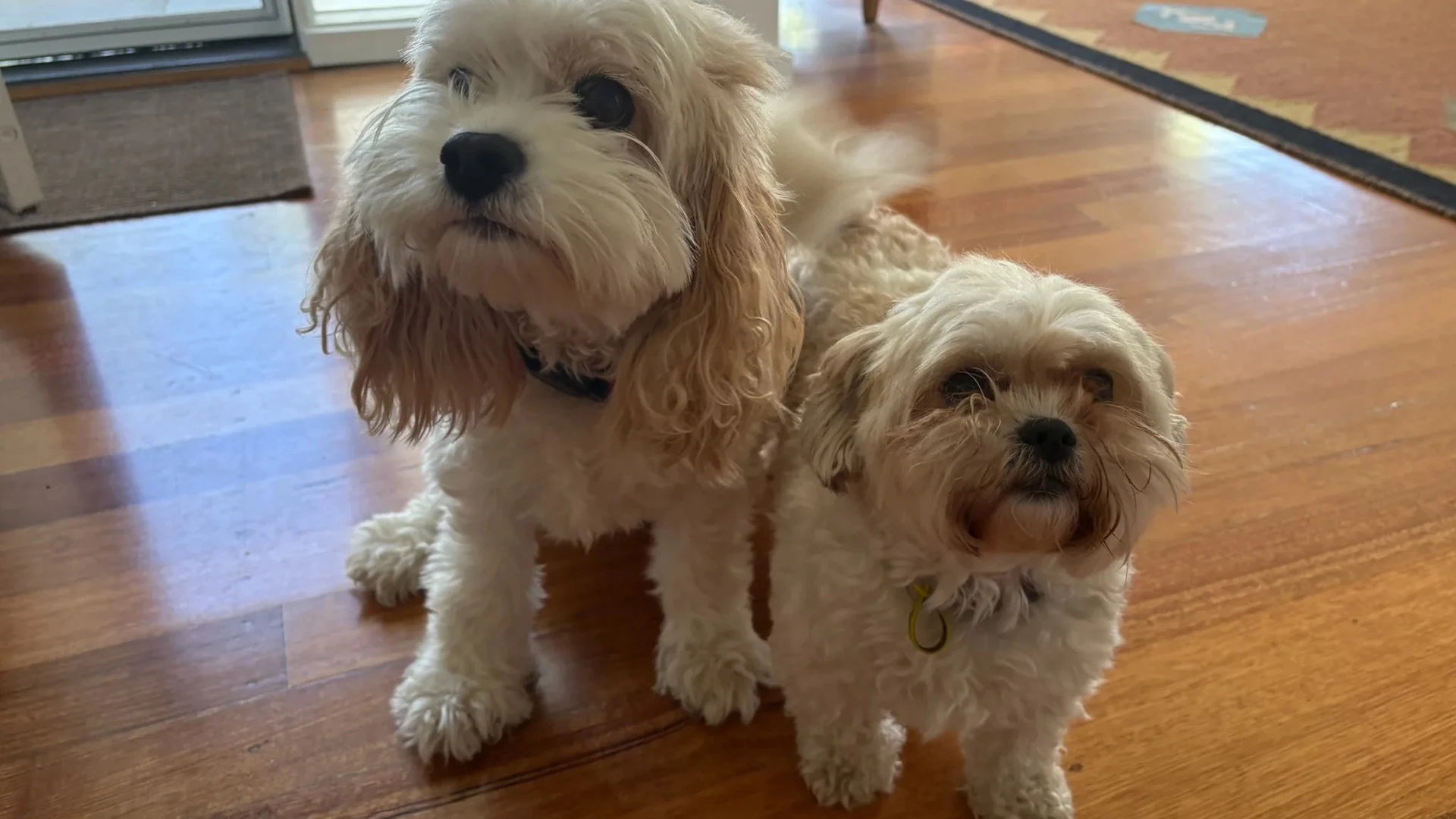 A real photo of Molly and Shaina together in window light