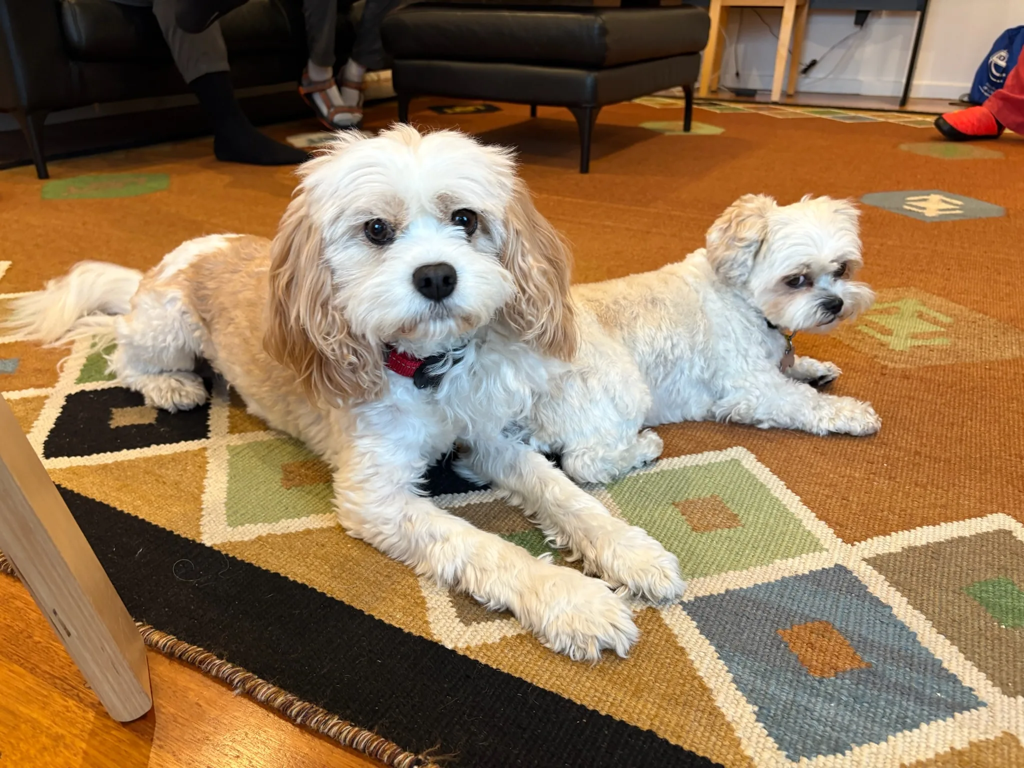 Molly and Shaina together