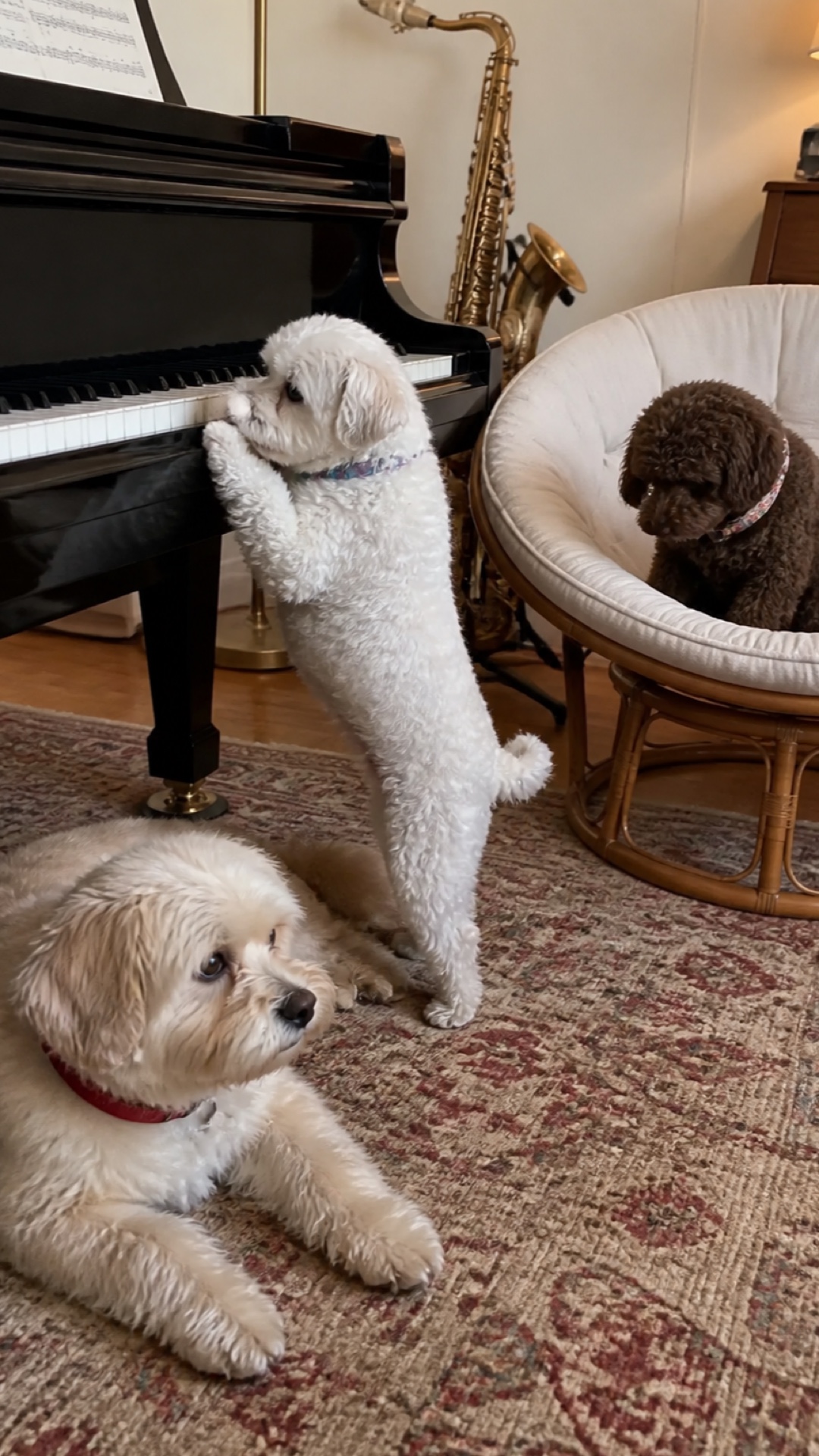 Portrait music room scene with Molly, Shaina, and Poppy